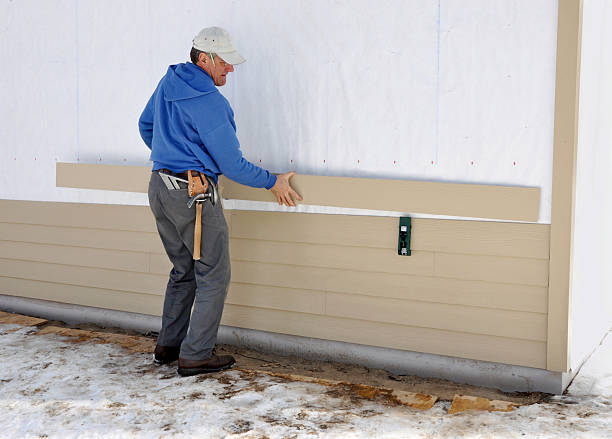 Best Insulated Siding Installation  in Spring Arbor, MI